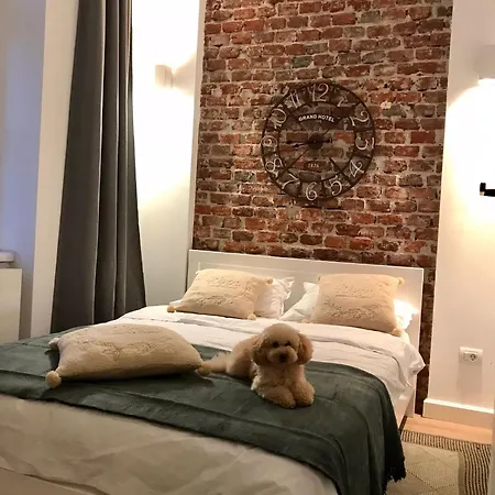 Joy City Prefectura 14 * Τιμισοάρα