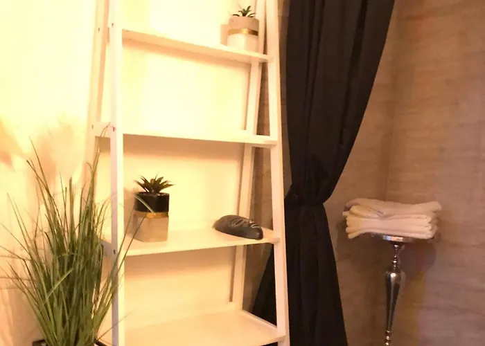 Joy City Prefectura 14 公寓 蒂米什瓦拉