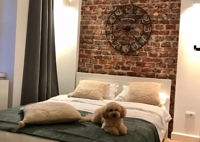 Joy City Prefectura 14 * 蒂米什瓦拉